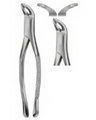 Extracting Forceps American pattern 